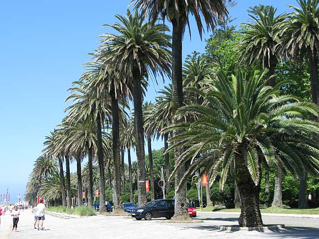 Porto to Vila do Conde